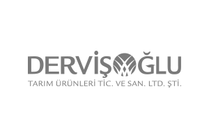 Dervişoğlu Bakliyat Web Sitesi Tasarımı