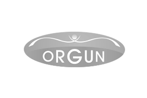 Orgun Web Sitesi Tasarımı