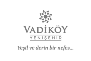 Vadiköy Web Sitesi Tasarımı